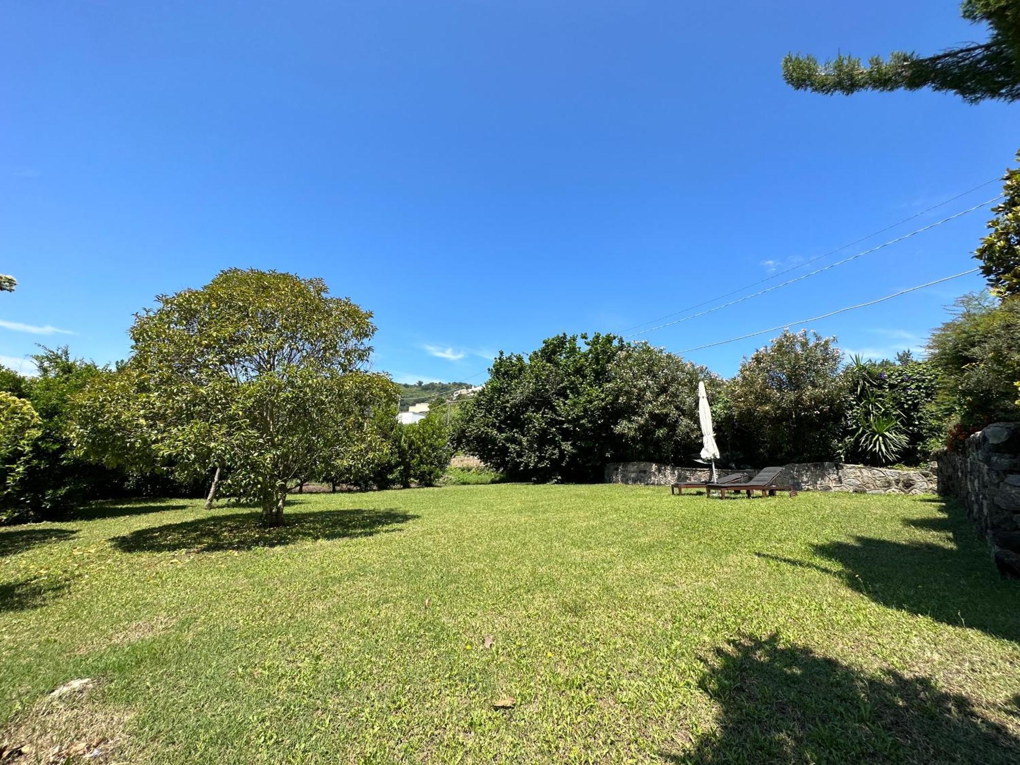 Villa Vincenzo Di Meglio Barano d'Ischia Exterior photo